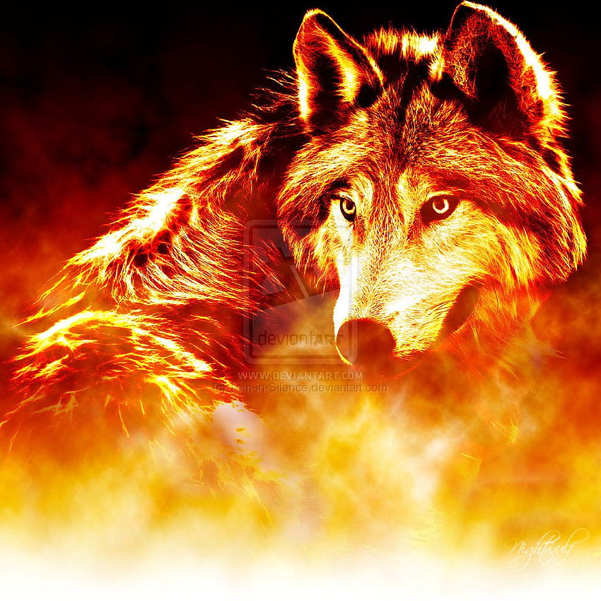 Cool Fire Wolf on Dog, lobo de fogo e água Papel de parede de celular HD