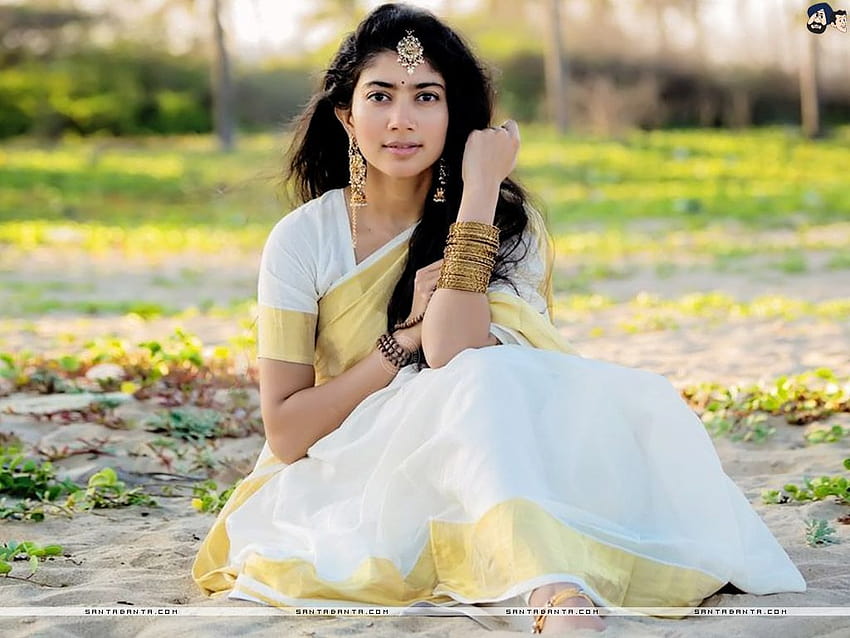 La personnalité séduisante de Sai Pallavi dans un sari en coton Kerala Kasavu avec bordure zari, sai pallavi saree Fond d'écran HD