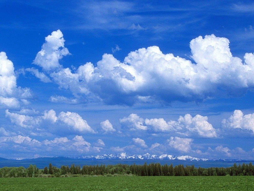 Niebo: Częściowo zachmurzone niebo dla formatu 16:9 High Definition, błękitne niebo z chmurami Tapeta HD
