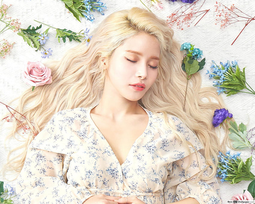Sleeping Beauty 'Solar' from Mamamoo, mamamoo pc HD wallpaper