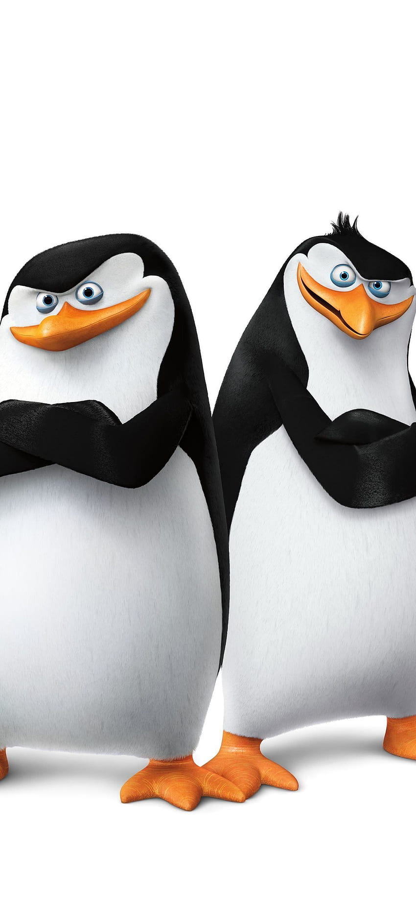 Download Penguins Of Madagascar 4k Cartoon Wallpaper