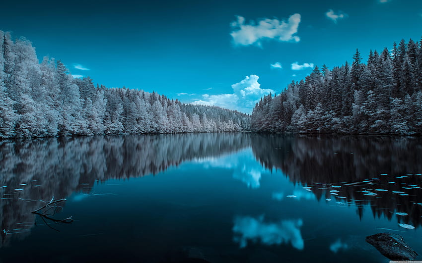Finland Forest Lake ❤ untuk Ultra TV Wallpaper HD