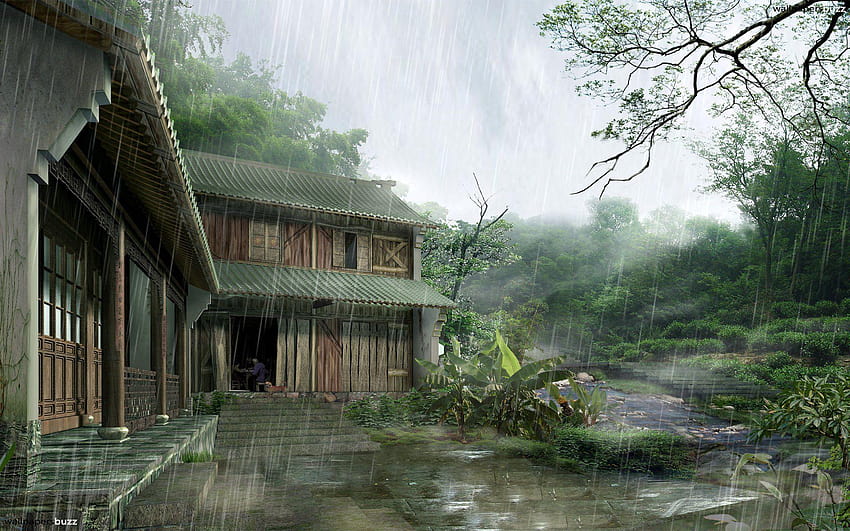 Rainy Day, monsoon climate HD wallpaper