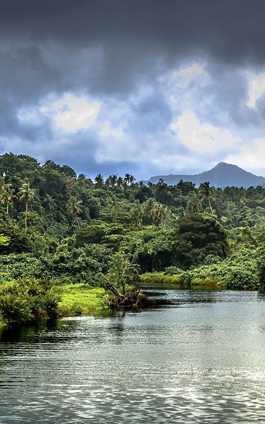 Samoa Nature Forests Tropics Rivers Clouds 800x1280 HD phone wallpaper