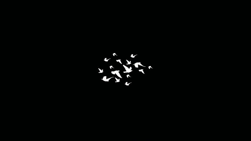 1366x768 Birds Flying Minimalist Dark 1366x768 Resolution , Backgrounds, and HD wallpaper