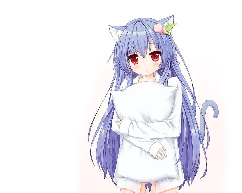 Anime Girls, Long Hair, Animal Ears, Blue Hair, Pillow, blue haired anime cat girl HD wallpaper
