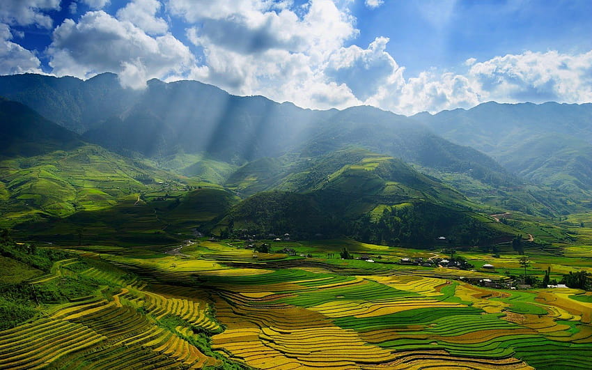 4 Beautiful Vietnam on ... afari, vietnamese HD wallpaper