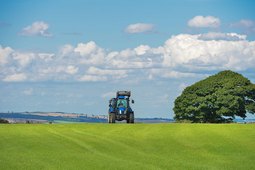 stock of agriculture · Pexels HD wallpaper