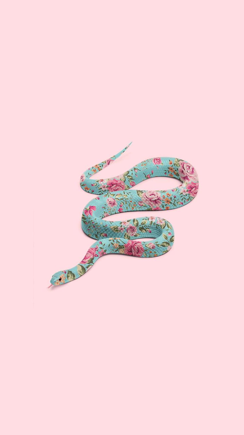 kawaii snakes HD phone wallpaper
