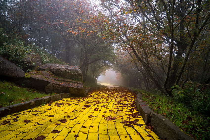 Der gescheiterte Themenpark „Wizard of Oz“ wird diesen Sommer wiedereröffnet, gelbe Backsteinstraße HD-Hintergrundbild