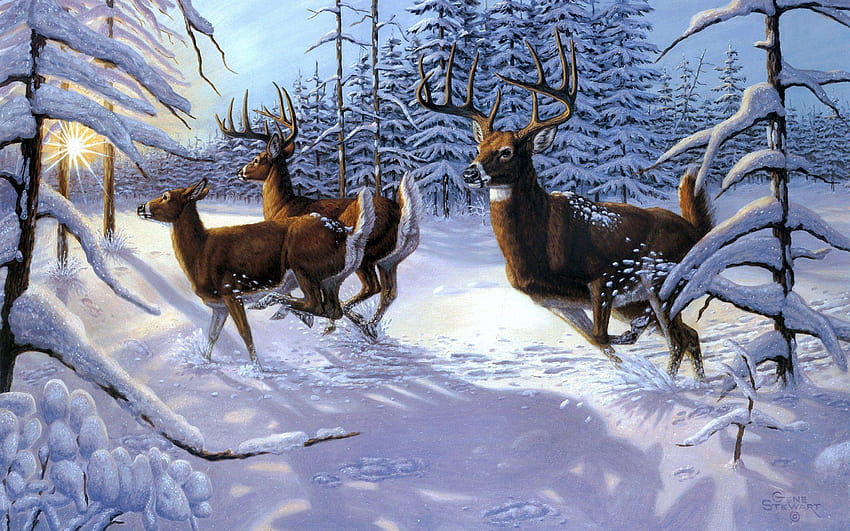 gene stewart winter sow forst deer 1920×1200 smart, winter 1920x1200 HD wallpaper