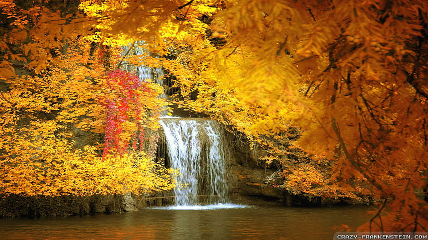 Beautiful Autumn, waterfall in autumn HD wallpaper | Pxfuel