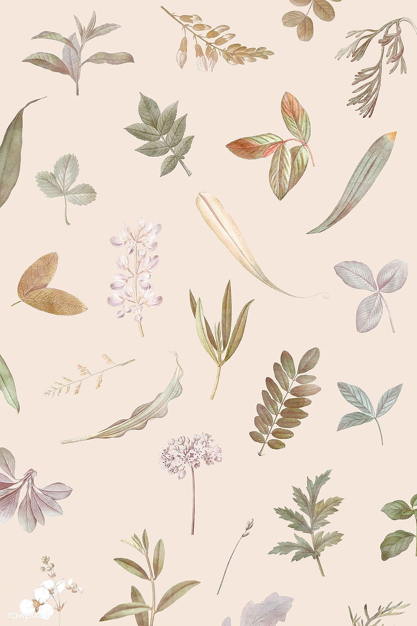 premium vector of Foliage pattern on beige backgrounds vector by Sasi about dried flower, autumn, Flower phone , tropical flower, and flower dr…, aesthetic ipad beige HD phone wallpaper