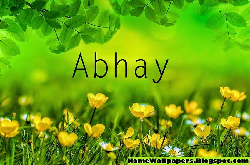 Abhay Name 3D Wallpaper - Colaboratory