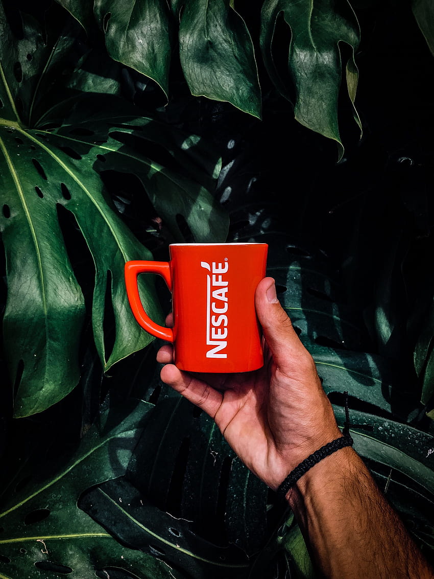 of Man Holding a Red Nescafe Mug ...pexels HD phone wallpaper