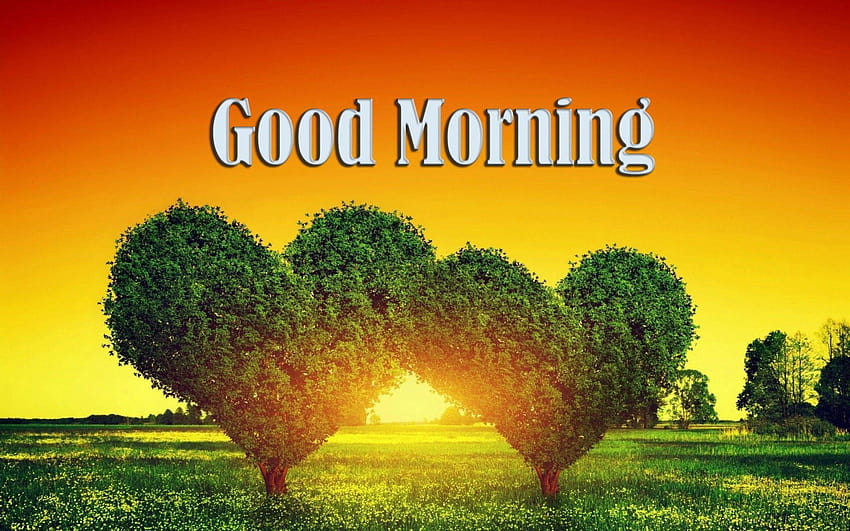 Утринно дърво във формата на сърце, добро утро HD тапет
