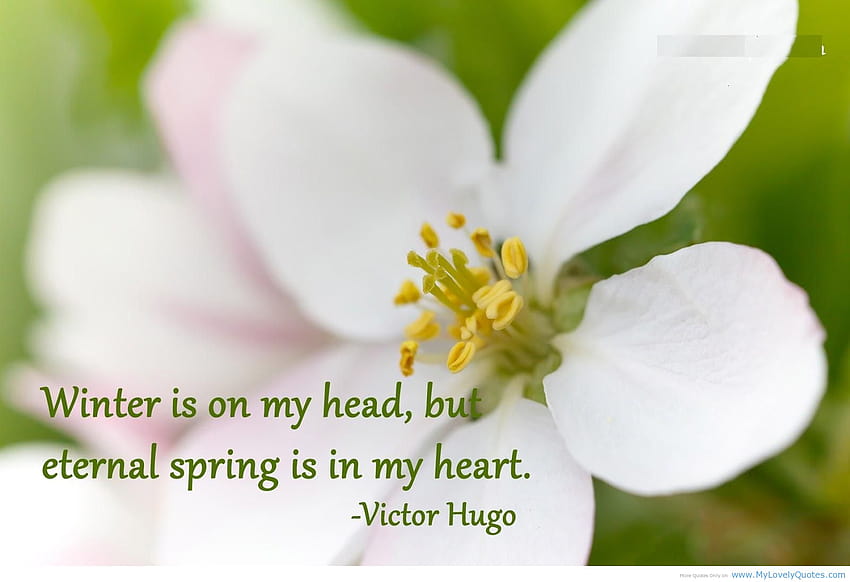 Spring Is Coming Quotes. QuotesGram, spring comming HD wallpaper