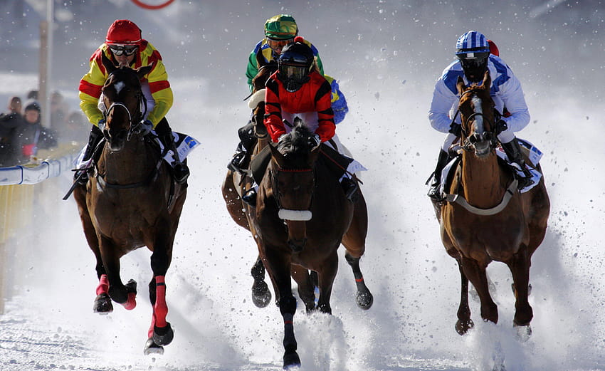 HORSE RACING Rennen Reitsport Jockeypferde, Rennpferde HD-Hintergrundbild