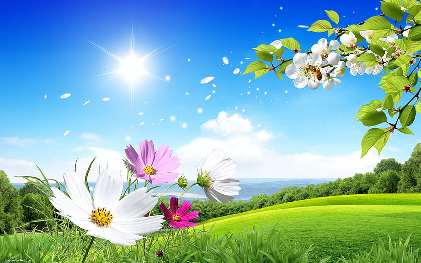 Alam Dengan Kutipan Untuk Halaman Sampul Facebook Di Tinggi, musim semi alam yang indah Wallpaper HD