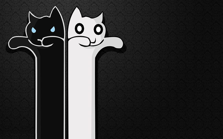 fantasy art gatto gattini minimalismo meme gatto lungo e Sfondo HD