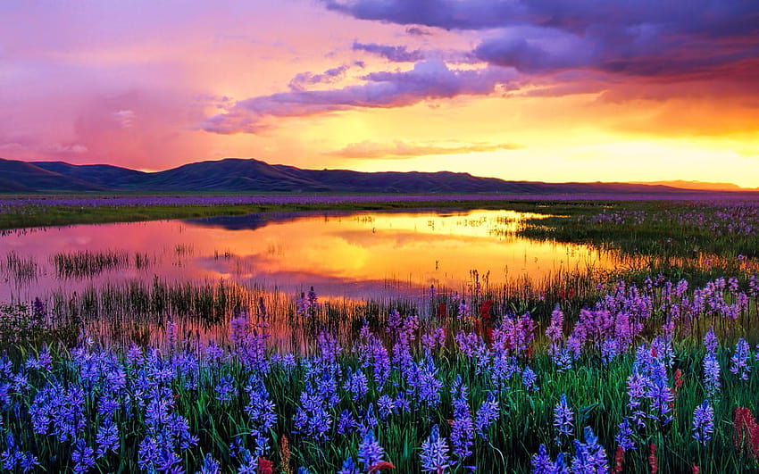 Camas Prairie au coucher du soleil, Idaho, États-Unis écran large Fond d'écran HD
