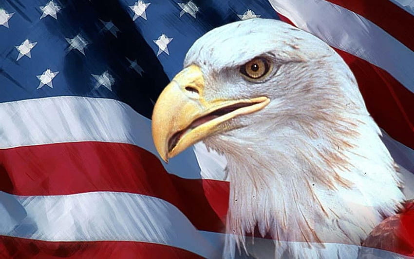Bandera americana . pájaros águilas banderas 1024x768, eeuu HD  wallpaper | Pxfuel