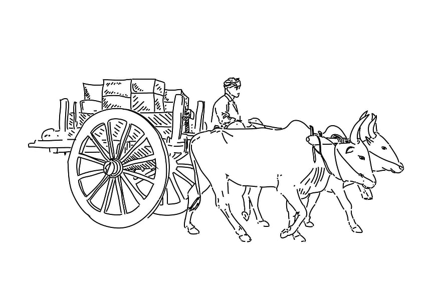EAZY ARTS Bullock Cart Paint by Numbers Kit for Kids, 21 X 30 CM :  Amazon.in: Home & Kitchen
