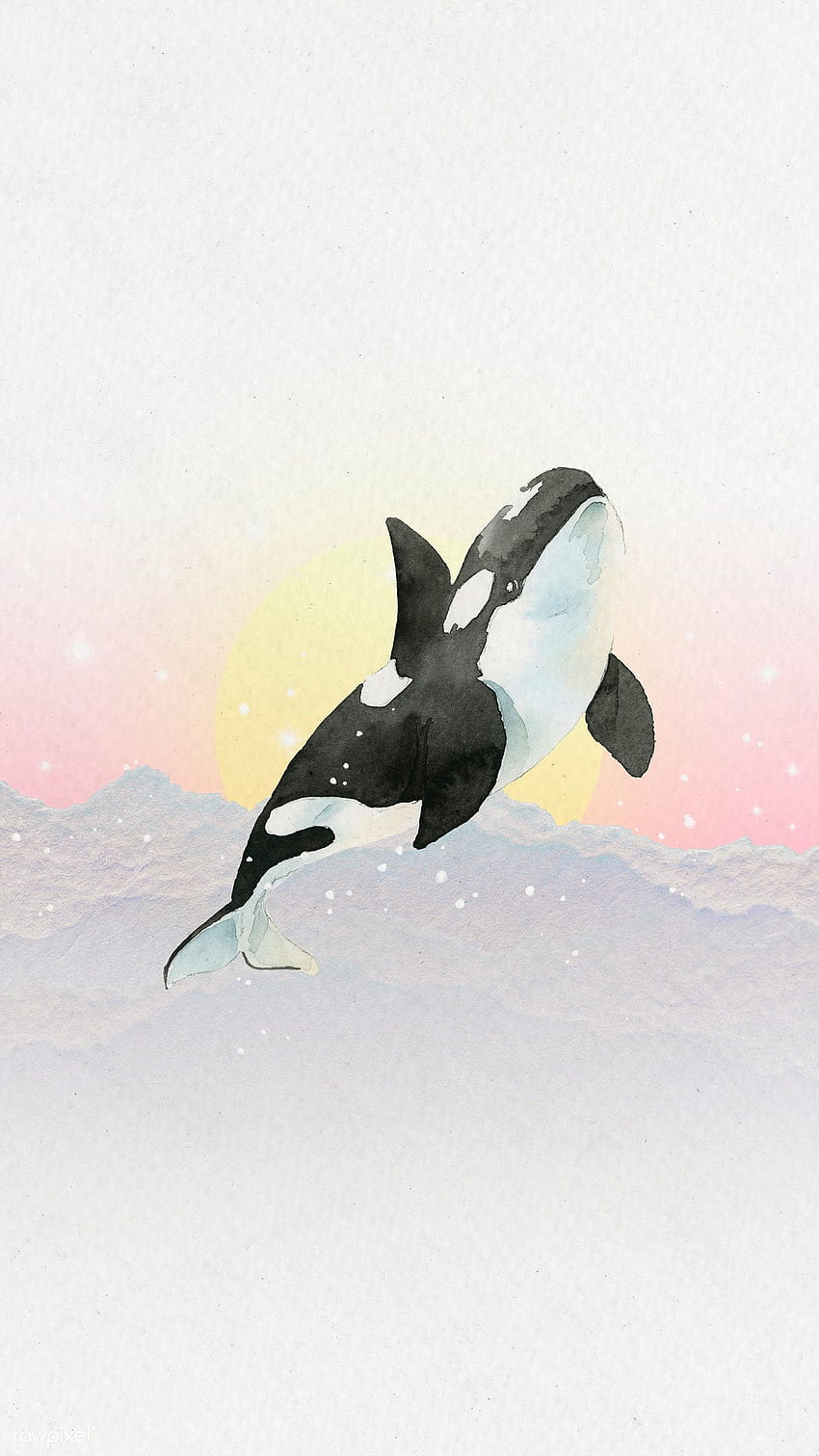 수채화로 그린 해양 생물 전화 배경 템플릿, 귀여운 고래 HD 전화 배경 화면