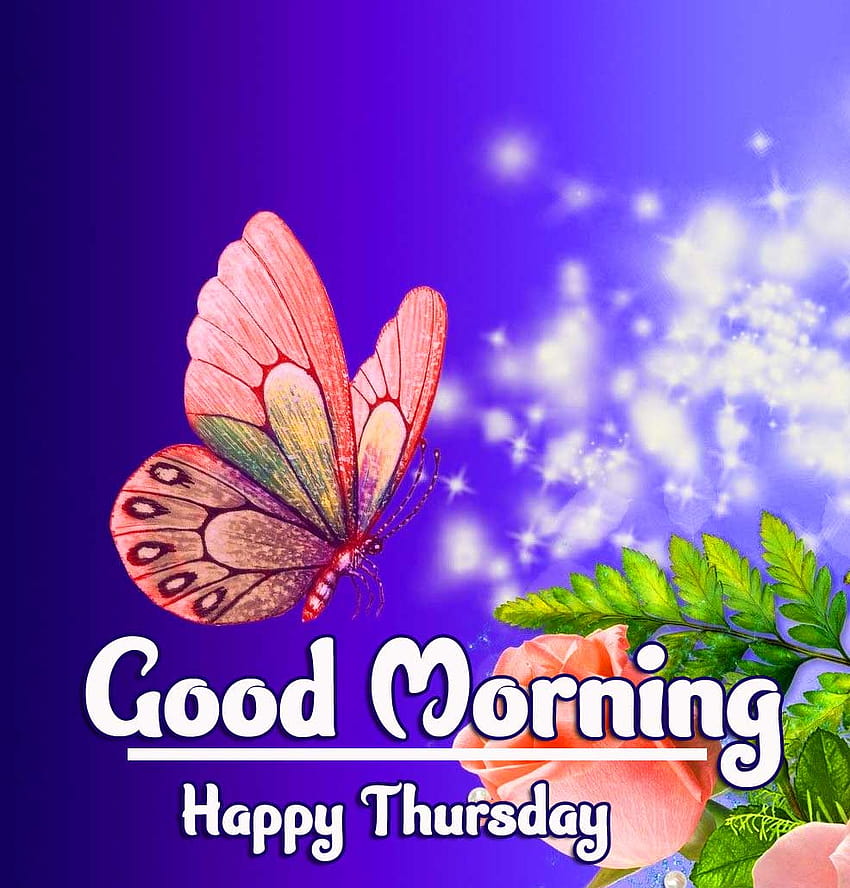 Beautiful Thursday Good Morning » Goodnyt, happy thursday HD phone wallpaper