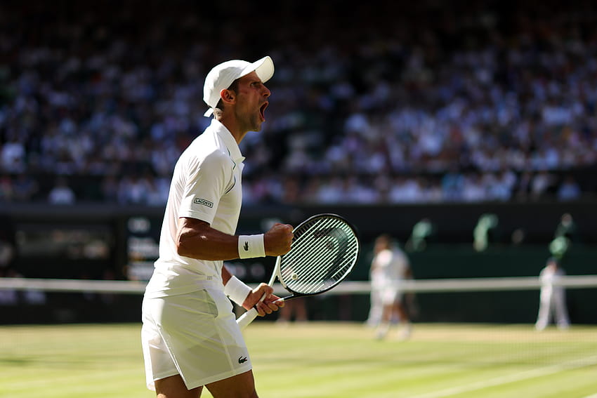Novak Djokovic mengalahkan Cameron Norrie untuk menyiapkan final Wimbledon melawan Nick Kyrgios, juara wimbledon novak djokovic 2022 Wallpaper HD