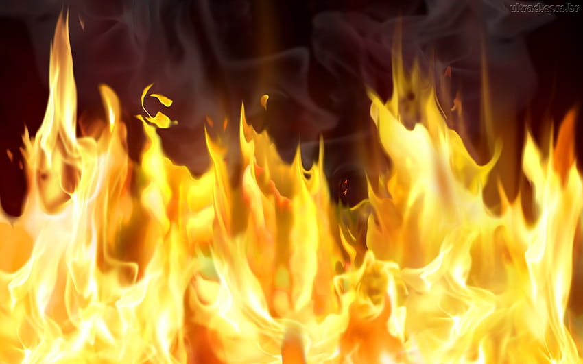 4 Fire Live na komputer, animowane płomienie ognia Tapeta HD