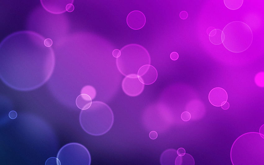 Purple, violet colour HD wallpaper
