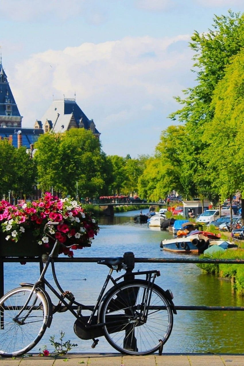 amsterdam cycle beside the water park mobile, iphone water cycle HD phone wallpaper