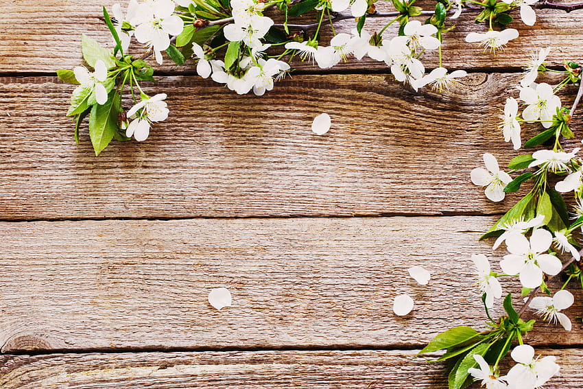 Spring flowers on wood HD wallpaper | Pxfuel