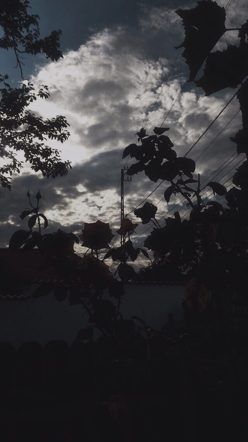 Ale Urias on, black aesthetic landscape HD phone wallpaper