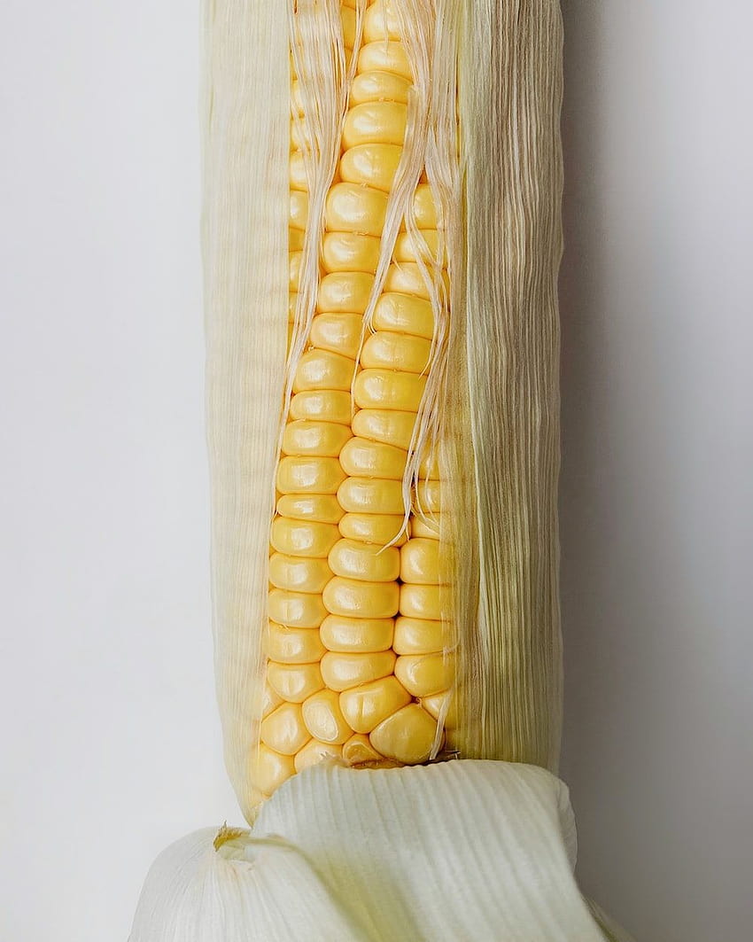 Sweet Corn HD phone wallpaper