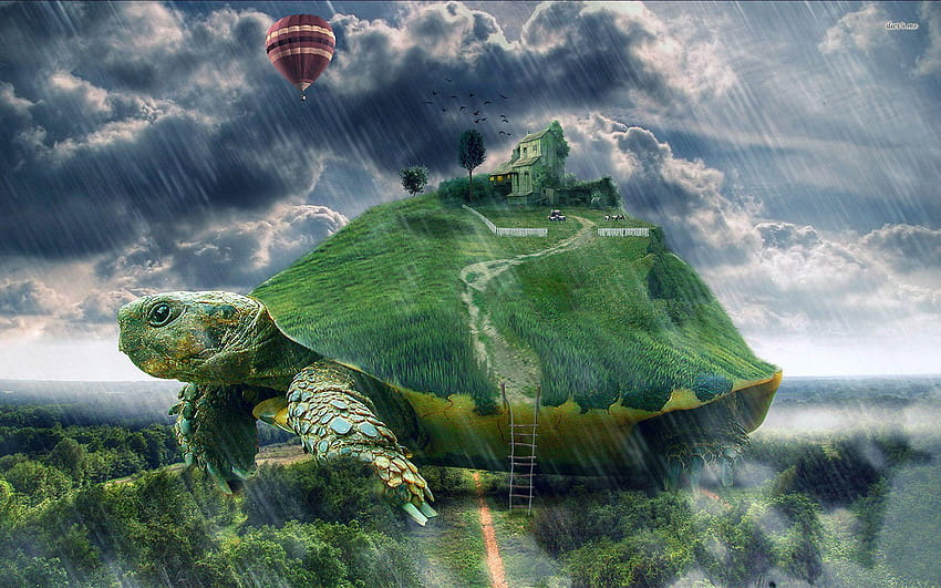 Turtle Walking In The Rain, common computer HD wallpaper