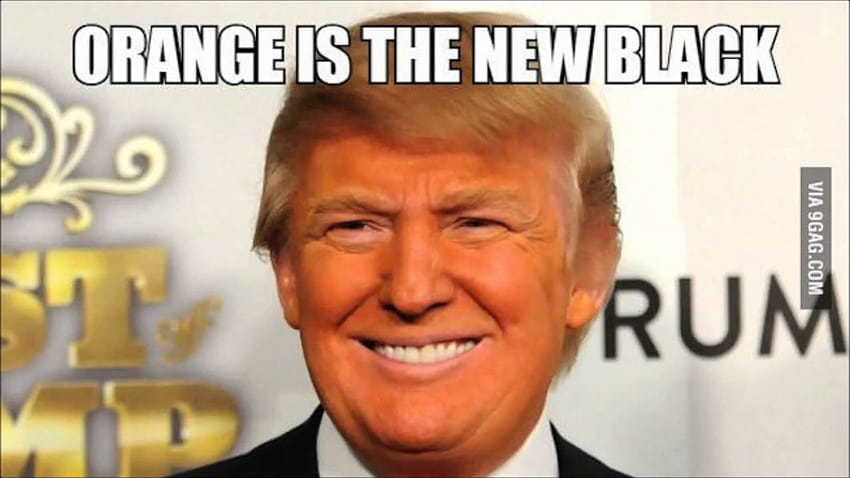 41 Very Funny Donald Trump Meme Which Will Make You Laugh, donald trump memes HD wallpaper