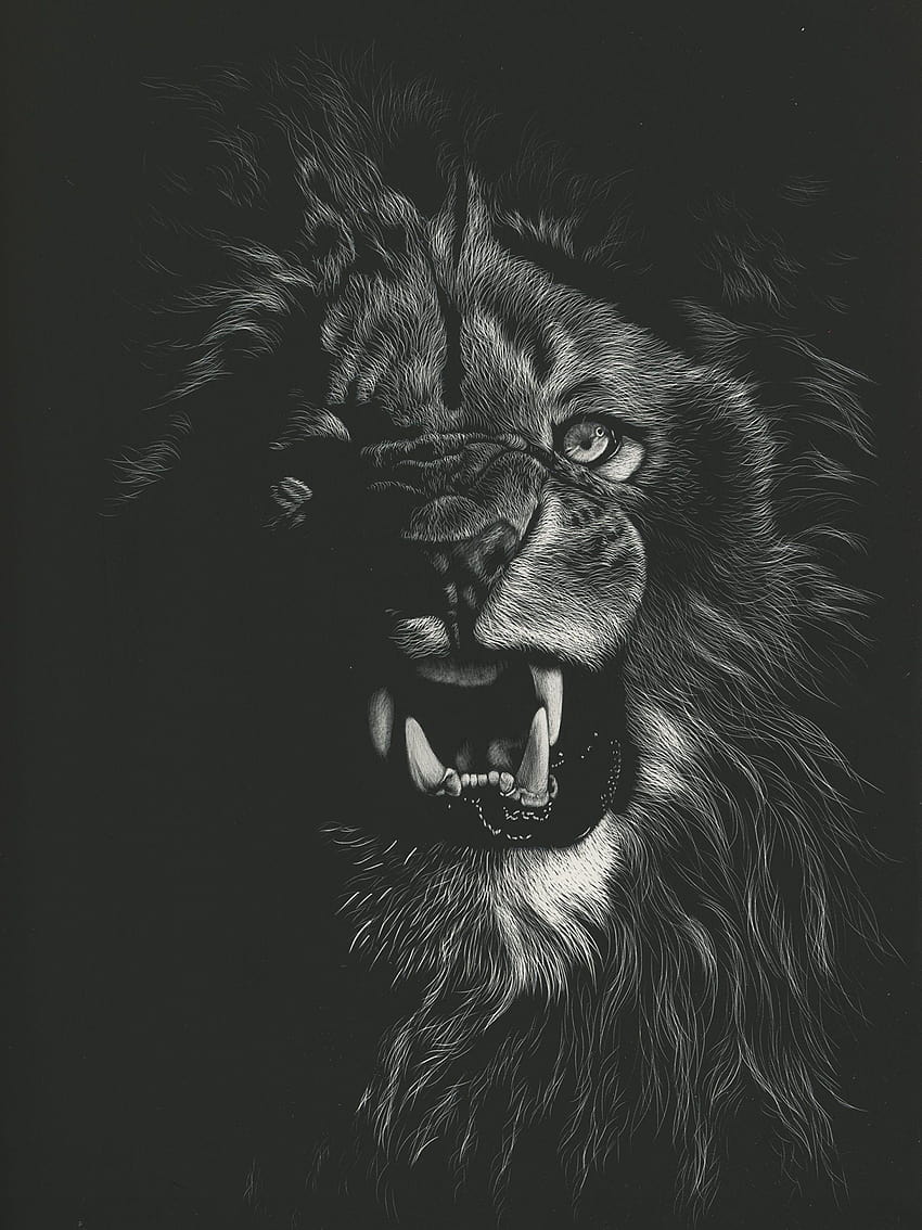 Singa Kucing besar Taring gigi taring marah Hitam 2048x2732 wallpaper ponsel HD