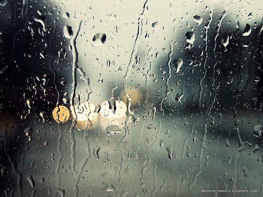 Belle pour cette saison des pluies [1024x768] pour votre, mobile et tablette, esthétique du temps pluvieux Fond d'écran HD