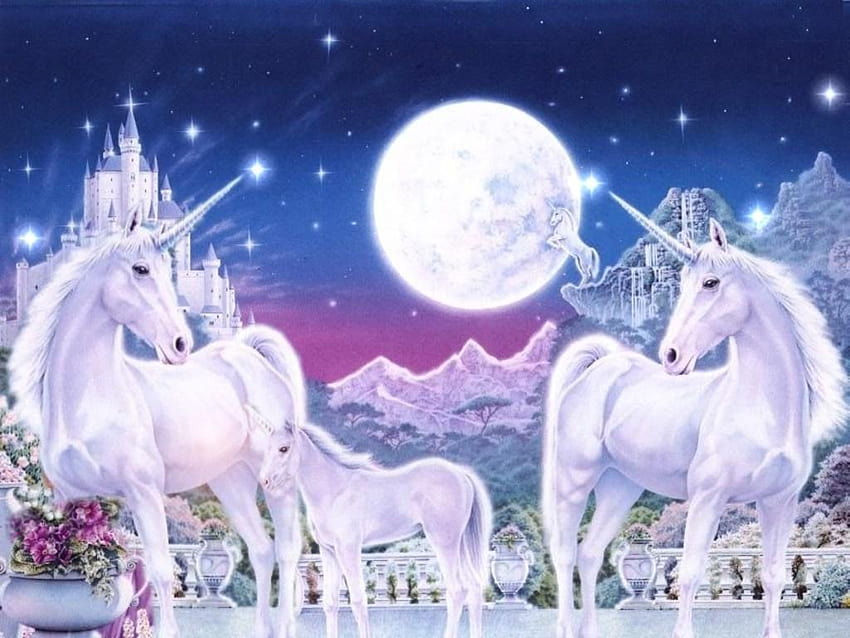Beautiful Unicorns, fairy and unicorn HD wallpaper