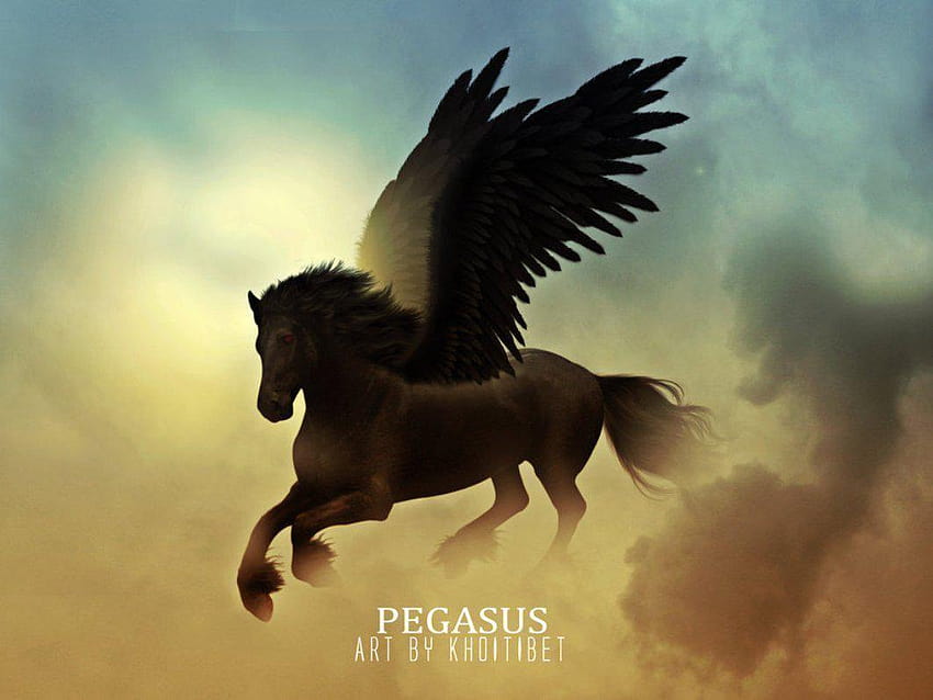 Grupo Pegasus, pegaso oscuro fondo de pantalla