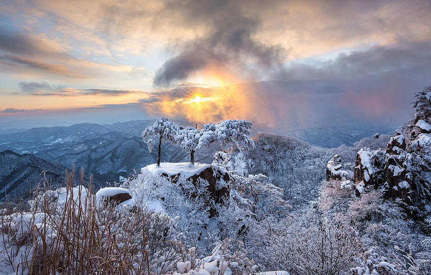 winter, the sun, clouds, rays, snow, landscape, mountains, nature, dawn, morning, South Korea, reserve , section пейзажи, winter south korea HD wallpaper