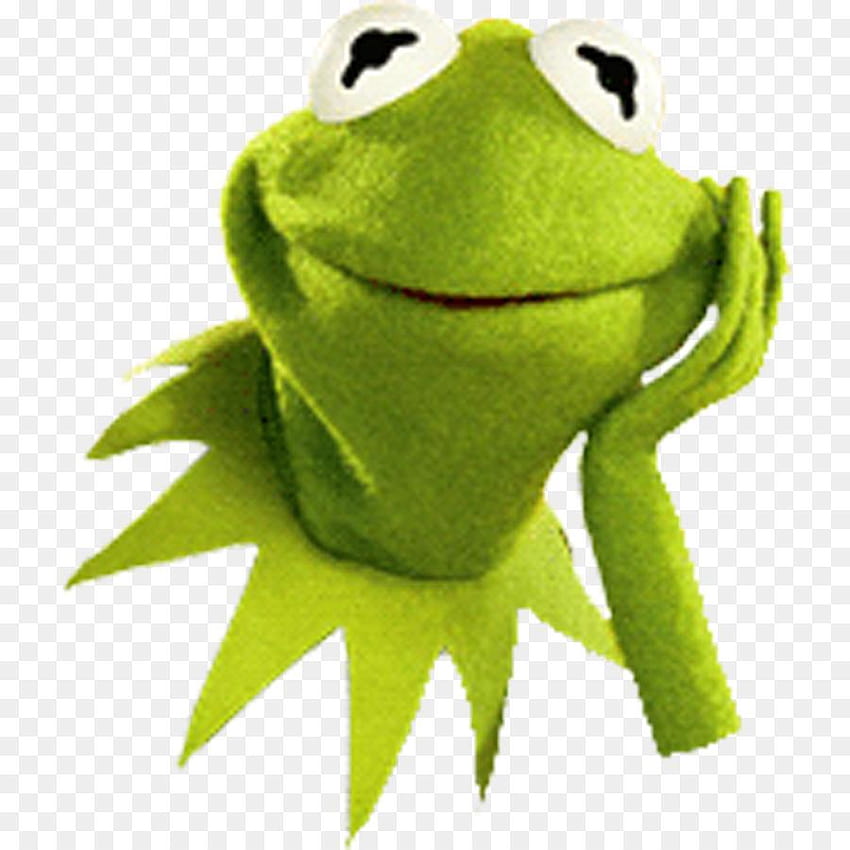 png Kermit the Frog Beaker Gonzo Miss Piggy, mlg kermit HD phone wallpaper