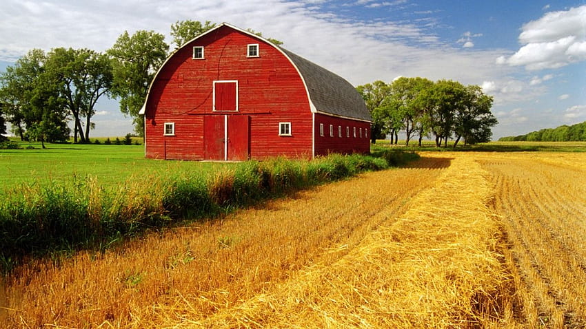 Farm Landscapes HD wallpaper