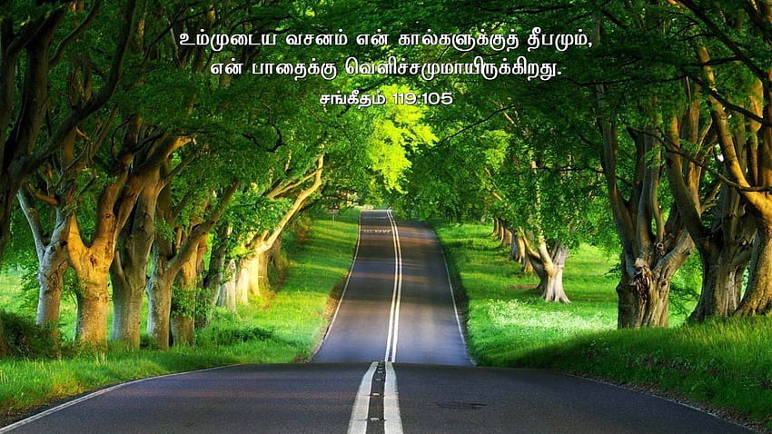 Bible Quotes Tamil Bible Verse Tamil, tamil quotes HD wallpaper | Pxfuel