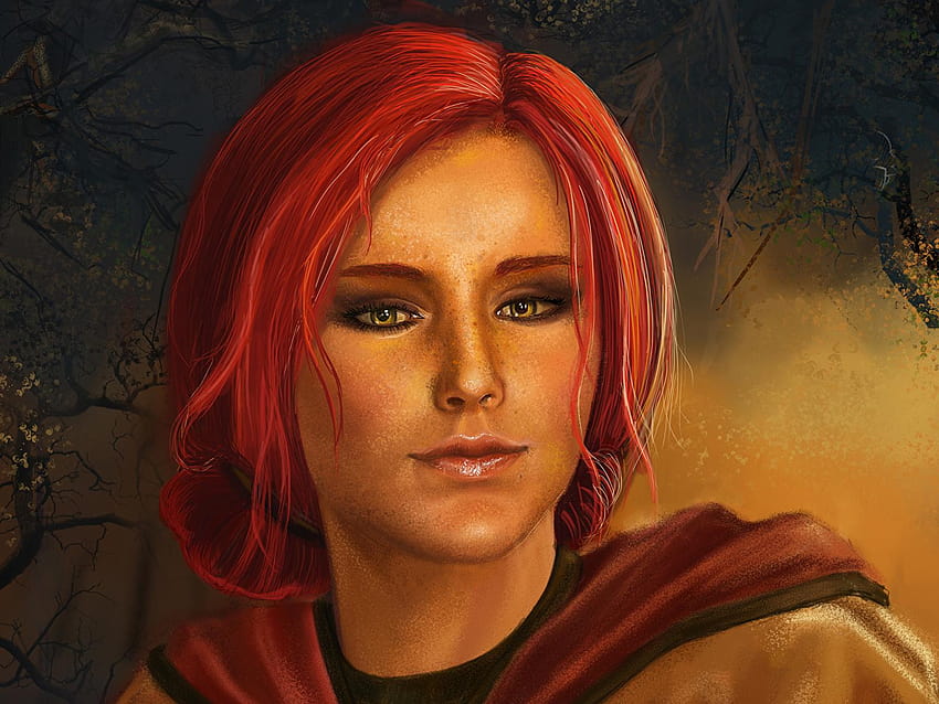 The Witcher 3: Wild Hunt Redhead girl 1600x1200, girl and wild HD ...