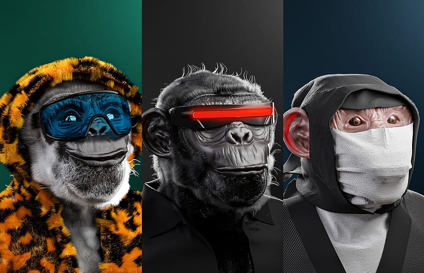 Degen Monkeys, swag monkey HD wallpaper
