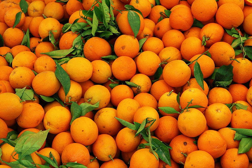 fruit orange Fond d'écran HD