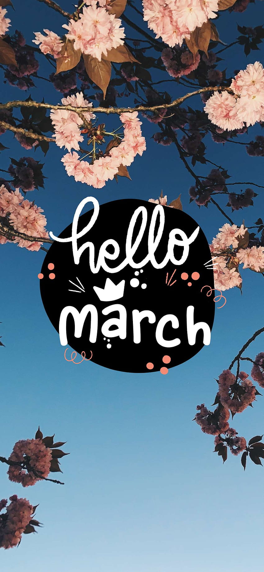 Hello March Wallpapers  Wallpaper Cave